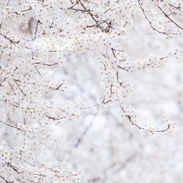 불안을 극복하는 7가지 현실적인 방법: 마음의 안정을 찾는 여정